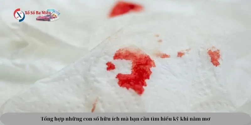 giấc nằm mơ thấy máu đỏ đánh số gì