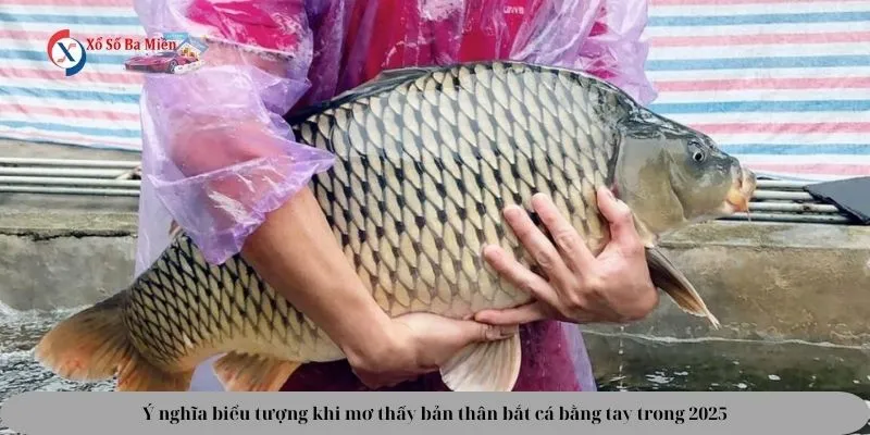 mơ bắt cá bằng tay đánh con gì