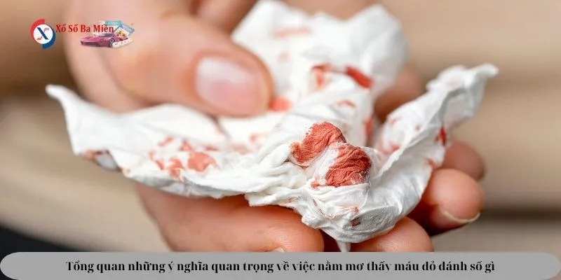 nằm mơ thấy máu đỏ đánh số gì