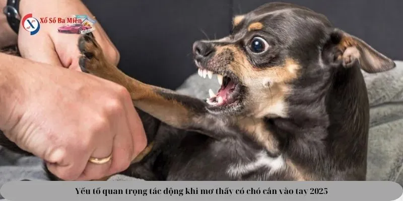 nằm mơ thấy chó cắn vào tay đánh số gì