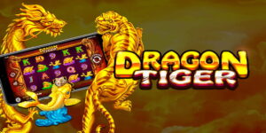 Dragon Tiger Bongvip